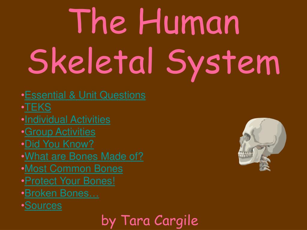 PPT - The Human Skeletal System PowerPoint Presentation, free download ...