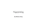 Fingerprinting - slide 1