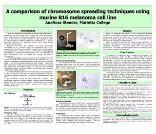 A comparison of chromosome spreading techniques using murine B16 melanoma cell line AnaRosa Stender, Marietta College
