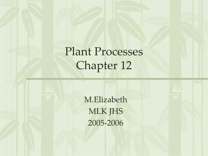 plant processes chapter 12