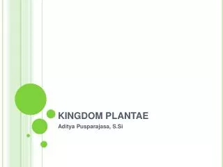 kingdom plantae