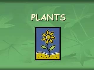 plants