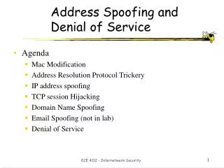 Address Spoofing and Denial of Service
