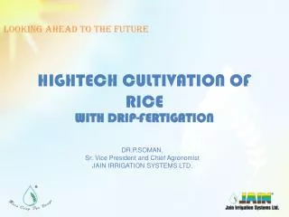 HIGHTECH CULTIVATION OF RICE