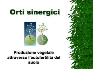 orti sinergici