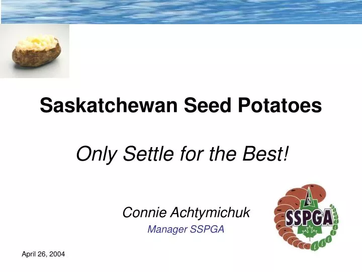 saskatchewan seed potatoes only settle for the best