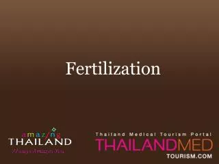 thailand medical tourism_fertilization