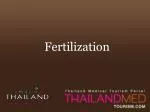 thailand medical tourism_fertilization - slide 1