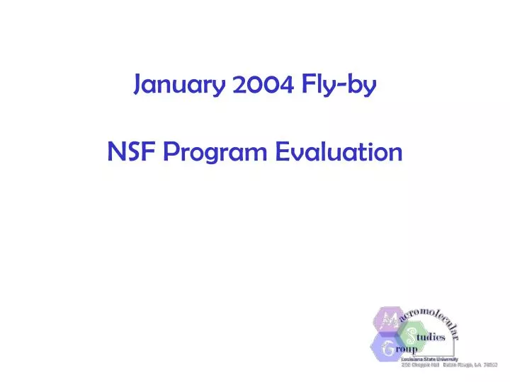 january 2004 fly by nsf program evaluation