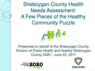 Sheboygan County Health Needs Assessment: A Few Pieces of the Healthy Community Puzzle