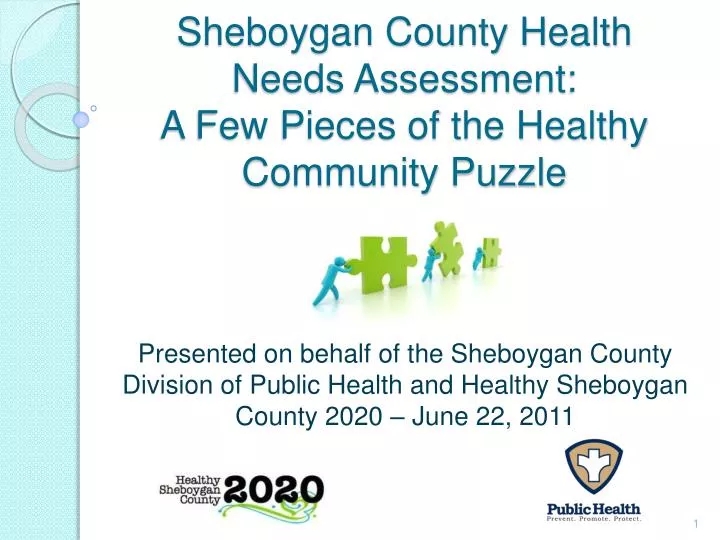sheboygan county health needs assessment a few pieces of the healthy community puzzle