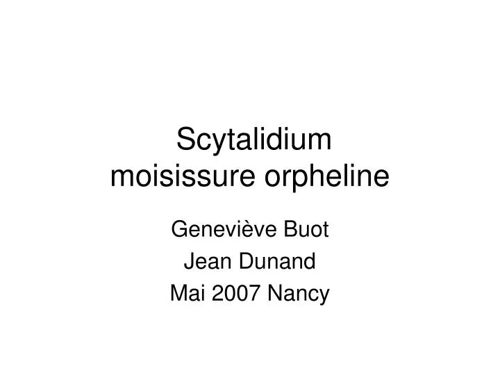 scytalidium moisissure orpheline