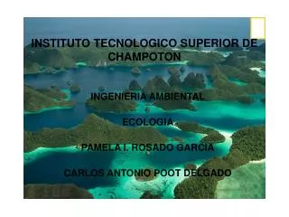 INSTITUTO TECNOLOGICO SUPERIOR DE CHAMPOTON