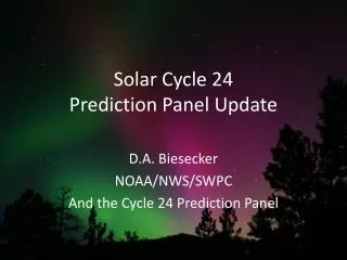 Solar Cycle 24 Prediction Panel Update