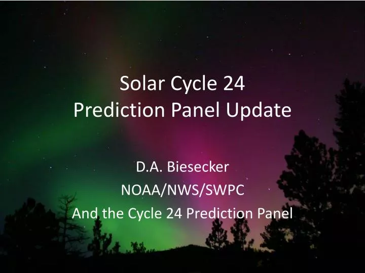 solar cycle 24 prediction panel update