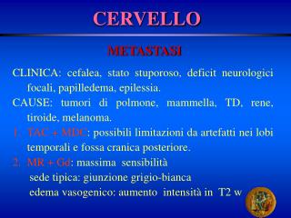 cervello