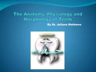 The Anatomy, Physiology and Morphology of Teeth