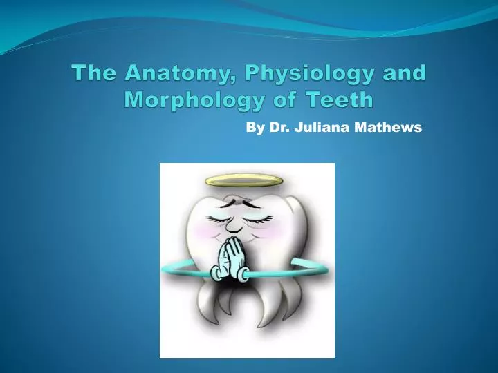 the anatomy physiology and morphology of teeth