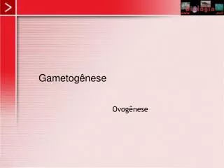 gametog nese