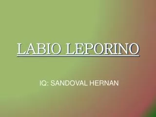 labio leporino