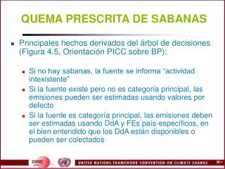 quema prescrita de sabanas