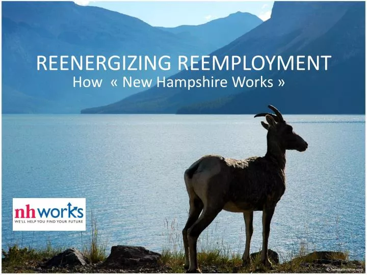 reenergizing reemployment