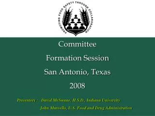 Committee Formation Session San Antonio, Texas 2008