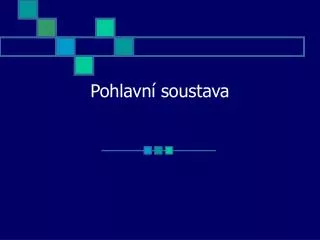 Pohlavní soustava