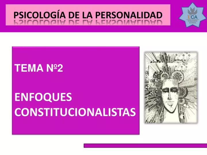 tema n 2 enfoques constitucionalistas