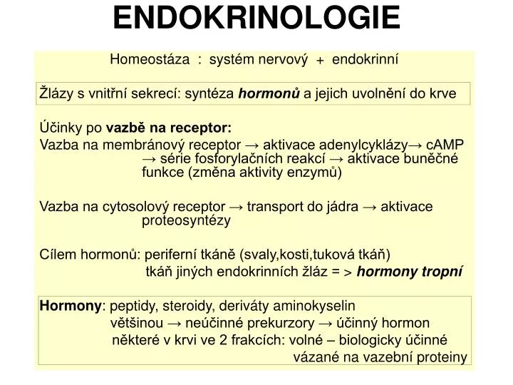 endokrinologie