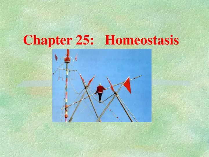 chapter 25 homeostasis