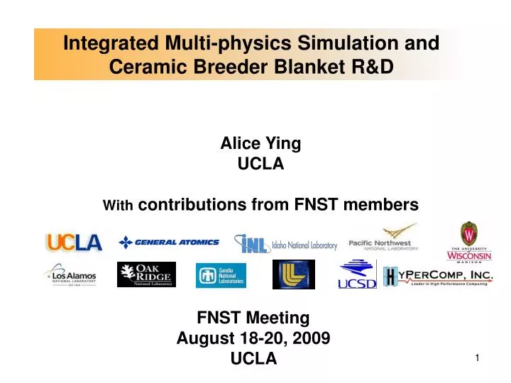 integrated multi physics simulation and ceramic breeder blanket r d