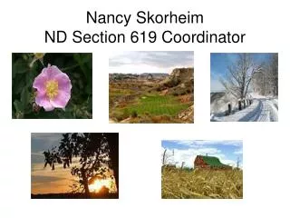 Nancy Skorheim ND Section 619 Coordinator