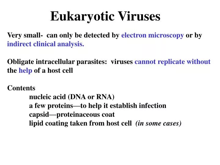 eukaryotic viruses