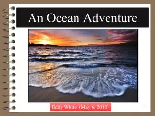 Ocean Adventure -SeaWall