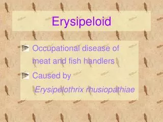 Erysipeloid