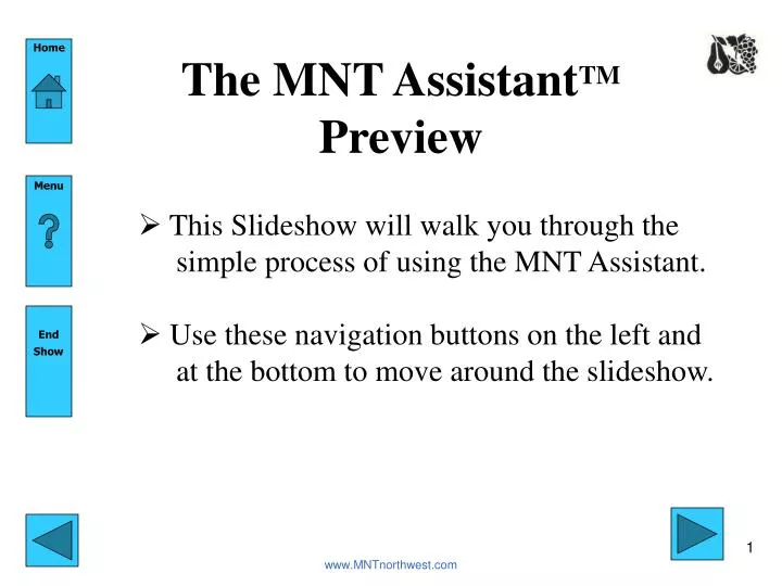 the mnt assistant tm preview