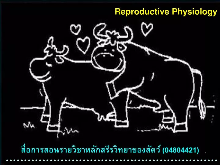 reproductive physiology