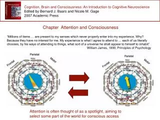 Cognition, Brain and Consciousness: An Introduction to Cognitive Neuroscience Edited by Bernard J. Baars and Nicole M. G