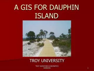 A GIS FOR DAUPHIN ISLAND