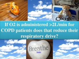 If O2 is administered &gt;2L/min for COPD patients does that reduce their respiratory drive?