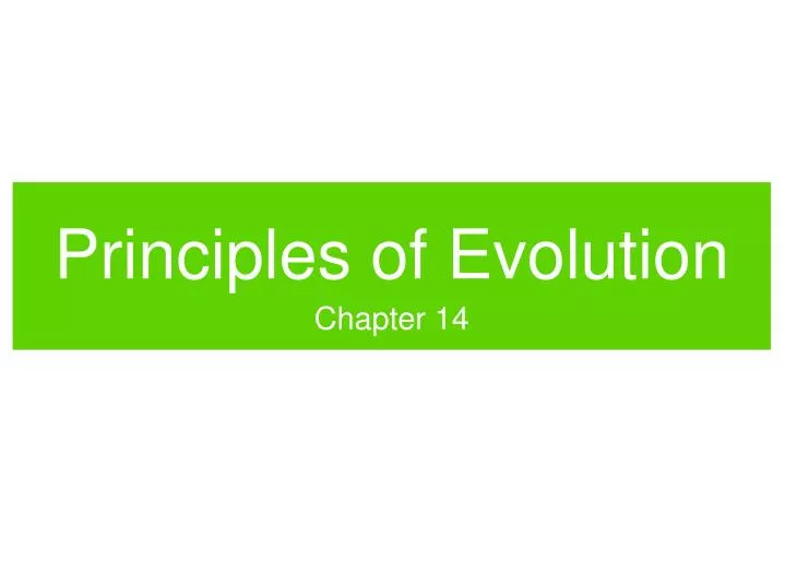 principles of evolution