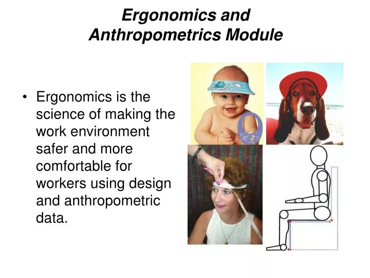 ergonomics and anthropometrics module