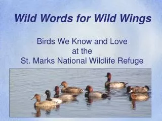 Wild Words for Wild Wings Birds We Know and Love at the St. Marks National Wildlife Refuge