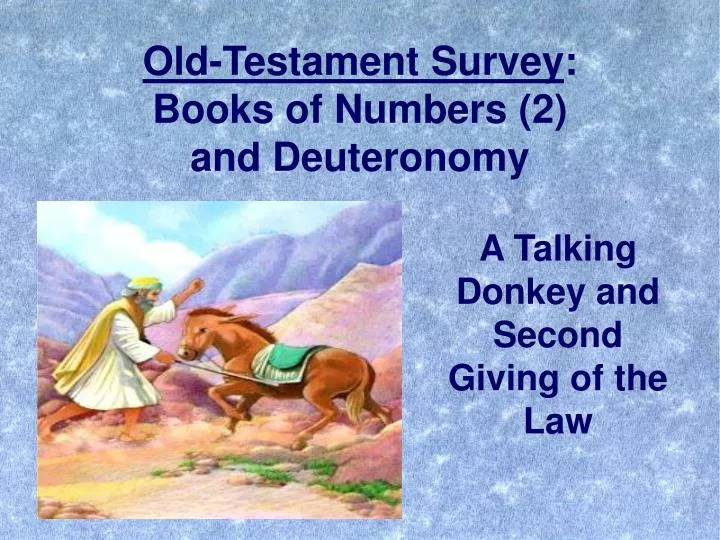 old testament survey books of numbers 2 and deuteronomy