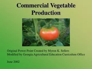 Commercial Vegetable Production