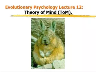 Evolutionary Psychology Lecture 12: 			 Theory of Mind (ToM).
