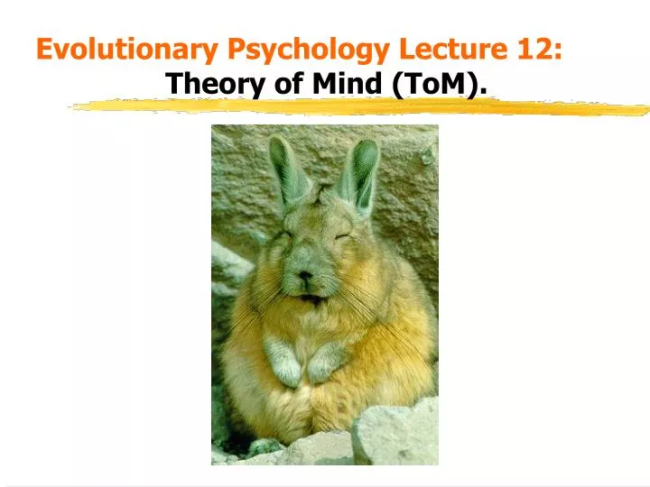 evolutionary psychology lecture 12 theory of mind tom