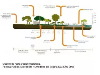 Modelo de restauración ecológica. Política Pública Distrital de Humedales de Bogotá DC 2005 2006
