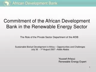 Commitment of the African Development Bank in the Renewable Energy Sector